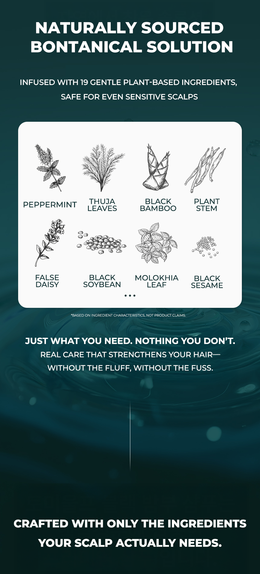 Tomiwolf Black Bamboo Shampoo